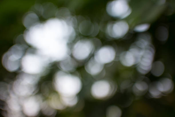 istock nature bokeh backgrouds with colors 469168692