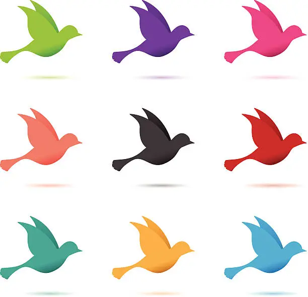 Vector illustration of set of birds in flight