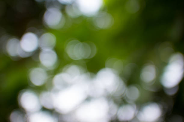 istock nature bokeh backgrouds with colors 469171370