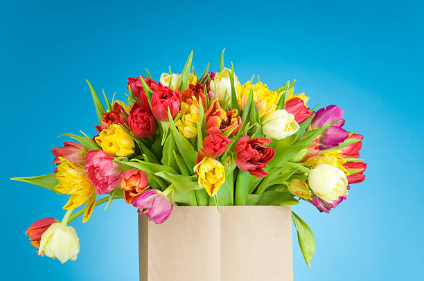 istock Tulips in the paper bag 469174056