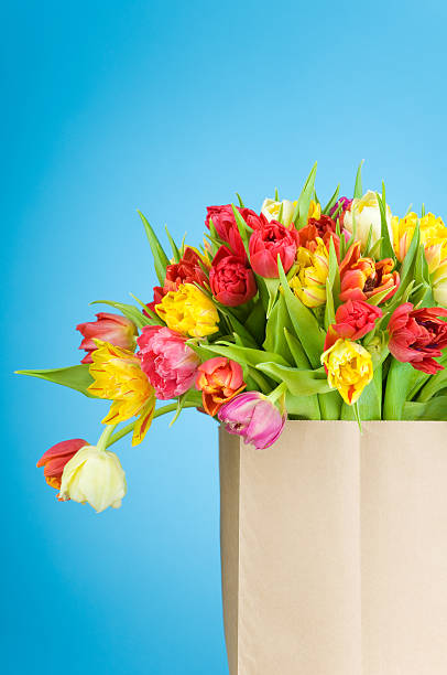 istock Tulips in the paper bag 469174058