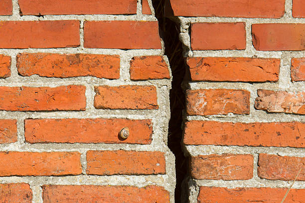 istock Pathway of a snail blocked 469174069