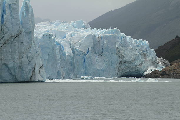 istock Puppy Moreno Glacier Argentina 469174326