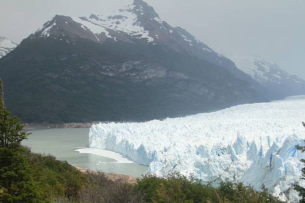 istock Puppy Moreno Glacier Argentina 469177538