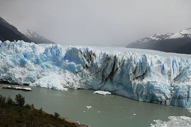 istock Puppy Moreno Glacier Argentina 469177588