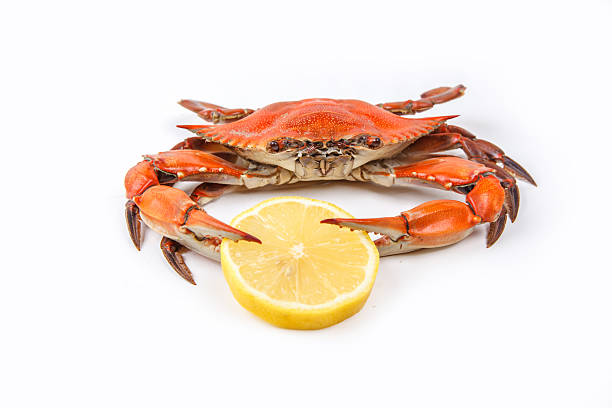 istock Steamed Blue Crab on white background 469181665