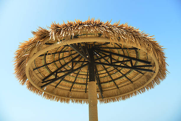 istock Palapa sun roof beach umbrella 469182717