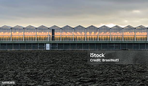 Assimilazione Luci In Una Serra - Fotografie stock e altre immagini di Agricoltura - Agricoltura, Attrezzatura, Attrezzatura per illuminazione