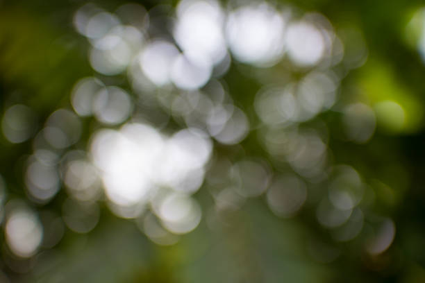 istock nature bokeh backgrouds with colors 469186564