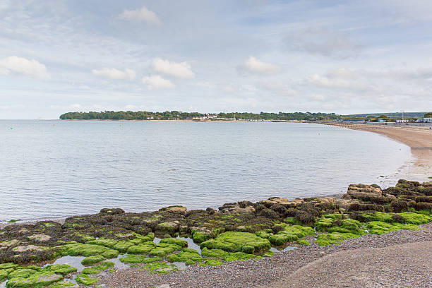 istock Nodes Point St Helens Isle of Wight to bay view 469186728