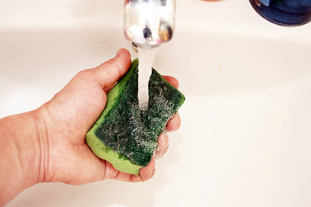 istock The process of soaking the sponge 469191950