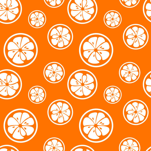 추상적임 감귤류 과일 연속무늬. 벡터 일러스트레이션 - orange portion vector textured stock illustrations