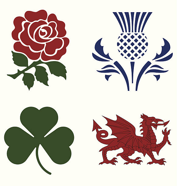 UK national emblems United Kingdom national emblems isolated on white background scottish culture stock illustrations