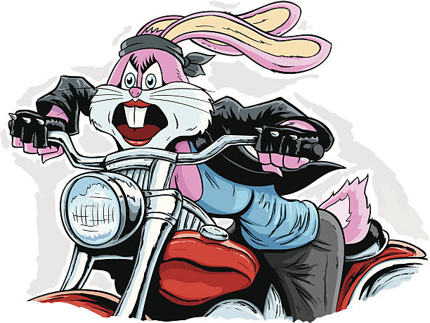 Biker Rabbit Cartoon of a Rabbit on her motorbike seductive women stock illustrations