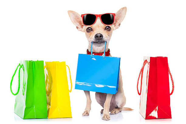 cane di shopping - dog chihuahua pampered pets pets foto e immagini stock