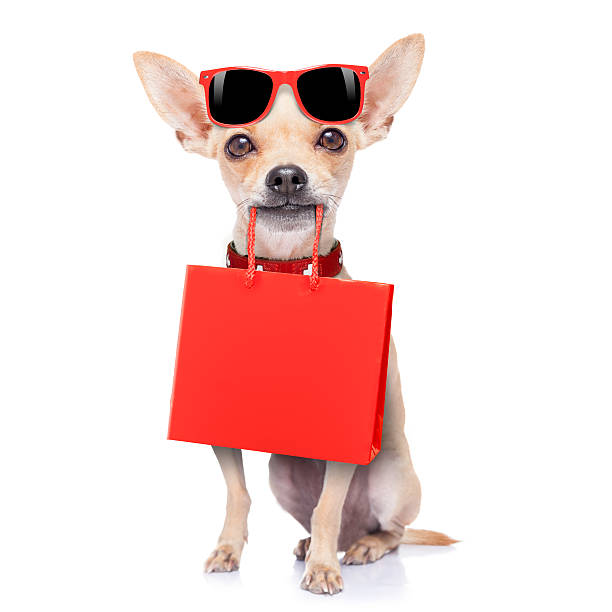 ショッピングの犬 - dog chihuahua pampered pets pets ストックフォトと画像