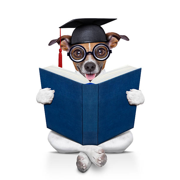 chien de diplômés - dog graduation hat school photos et images de collection