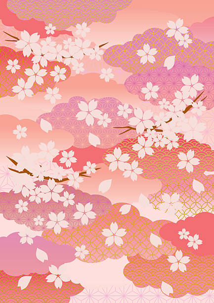 Illustration of sakura, blooming cherry tree flowers It is an illustration of cherry blossoms in Japan. kimono stock illustrations