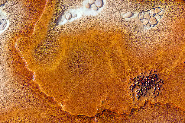 This is a photograph of natural mineral formations at a geothermal site..Morocco South Africa,Nikon D3x