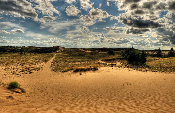 Rippled sand dunes at sunset Rippled sand dunes at sunset, Manitoba Desert - Devil's Punch Bowl, Spruce Woods jaisalmer stock pictures, royalty-free photos & images