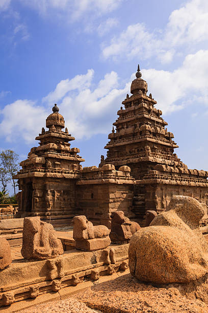 Mahabalipuram, India - 8th Century Monolithic Shore Temple Sculpted In A Single Piece Of Granite - granite Cattle In The Foreground. The 8th century Shore Temple in Mahabalipuram or Mamallapuram, built in the 8th Century, between 700 and 728 AD, during the rign of the Pallava King Narasimhavarman II. Sculpted cattle in stone decorate the temple on one side. Declared a UNESCO World Heritage site in 1984, the temple is one of the oldest structural temples in South India. It survived the Tsunamis of the 13th Century and 2004. The sides display some sand and wind errosion. Photo shot around noon against a blue sky with some clouds. No people; copy space. Camera 2004 indian ocean earthquake and tsunami stock pictures, royalty-free photos & images