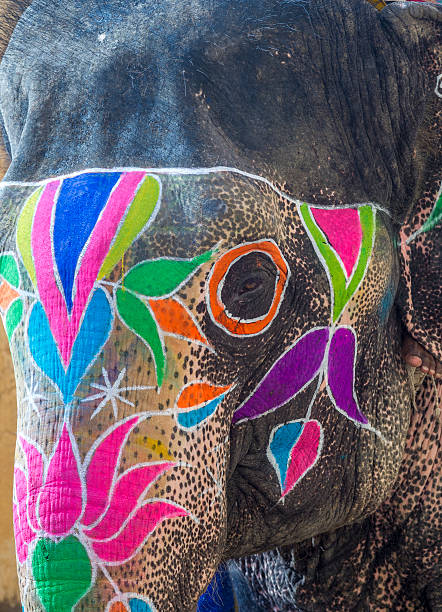 istock Elephant at Amer fort, Jaipur 469200970