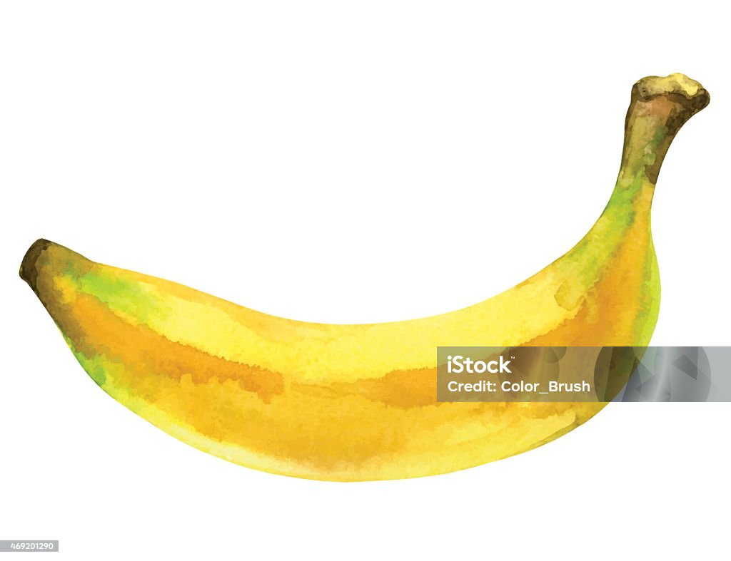 Trái Chuối Màu Nước Toàn Bộ Cận Cảnh Bị Cô Lập Hình minh họa Sẵn ...