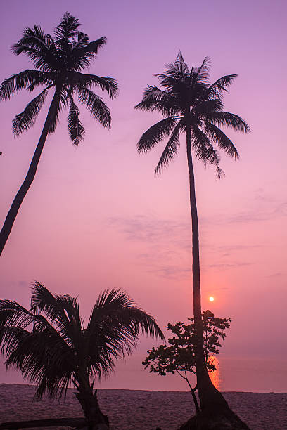 istock beautiful sunrise on tropical sea 469204816