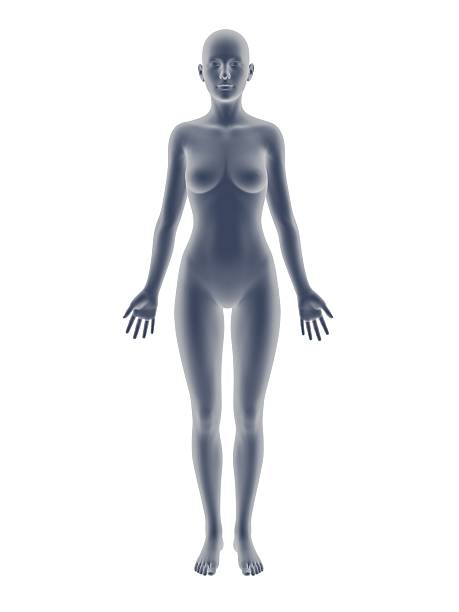istock woman body 469205206