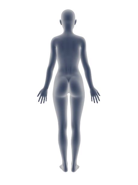 istock woman body 469205208