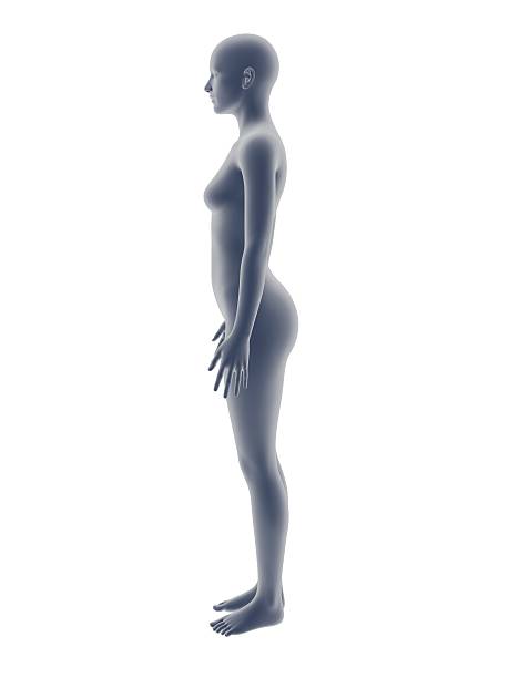 istock woman body 469205210
