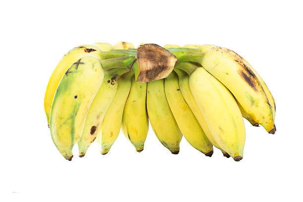 istock Cultivated banana on white 469205868
