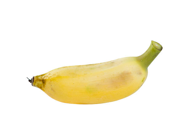 istock Cultivated banana on white 469205878