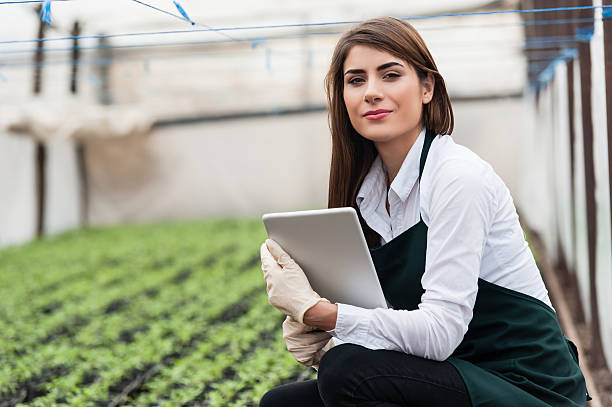 pesquisador feminino técnico estudando com um tablet - agriculture greenhouse research science - fotografias e filmes do acervo