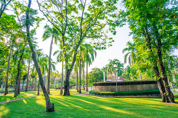 istock Green city park in evening 469206614