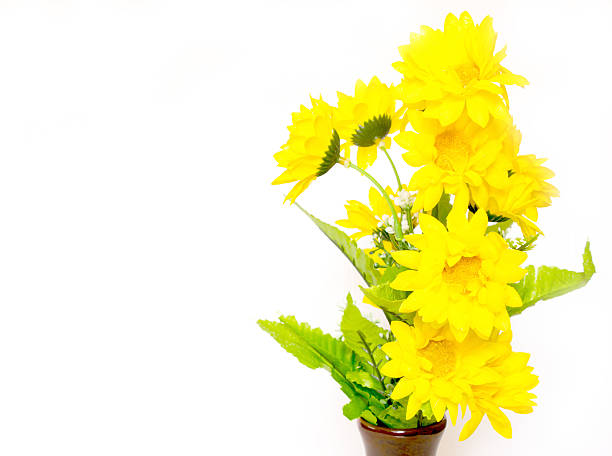 istock garden Sunflower 469207710