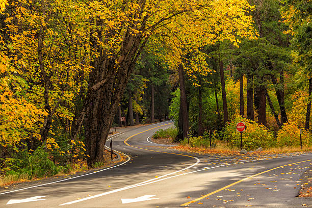 istock road in Yosemite national park 469211152