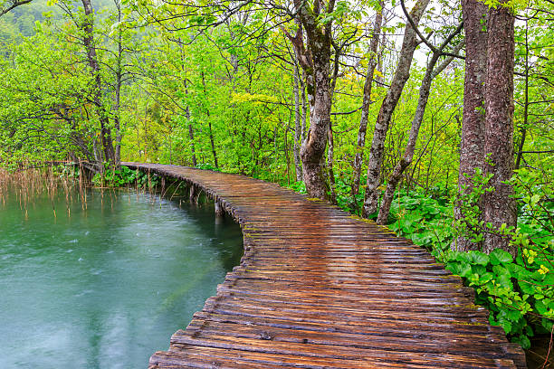 istock Boardwalk in the park Plitvice lakes 469212632