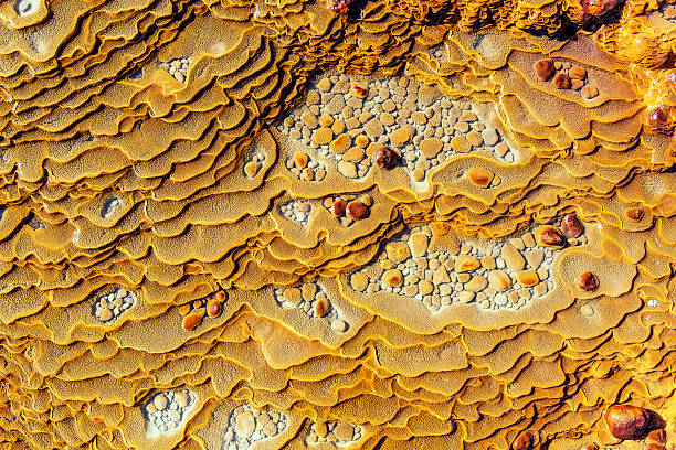 Free Stock Photo of Warm tones in natural fluid abstract pattern ...