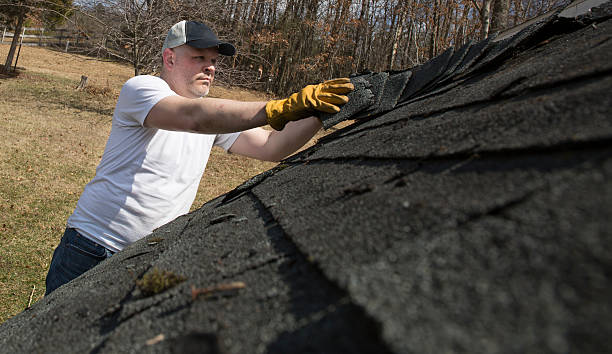 istock Man taking shingles off a shed roof 469219490