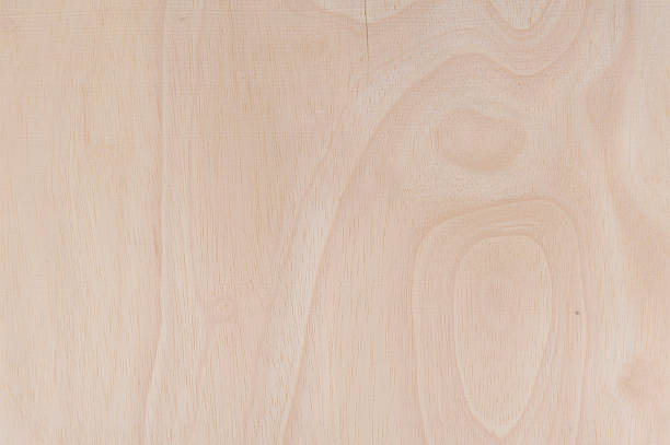 istock Texture of wood background closeup 469219842