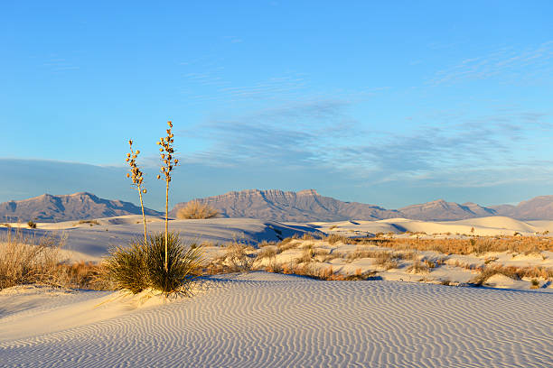 desierto de arenas blancas y de las montañas de san andrés - sand sand dune white sands national monument desert fotografías e imágenes de stock