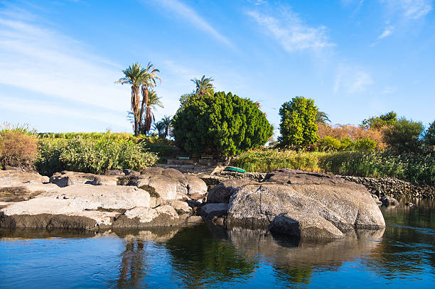 istock Nature of the river Nile 469224070