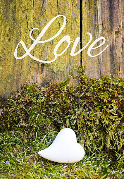 greeting-card background white heart - love stock photo