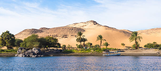 istock Nature of the river Nile 469229806
