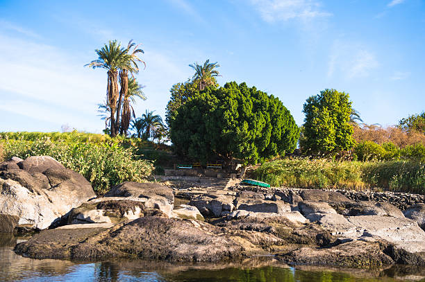 istock Nature of the river Nile 469230130