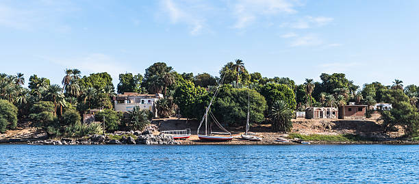 istock Nature of the river Nile 469230362