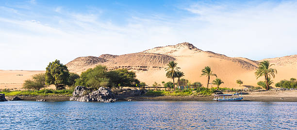 istock Nature of the river Nile 469230506