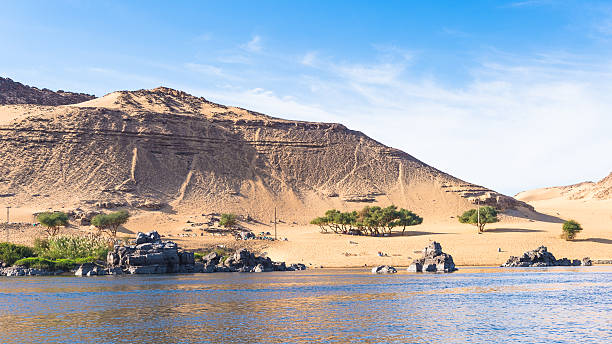 istock Nature of the river Nile 469234122