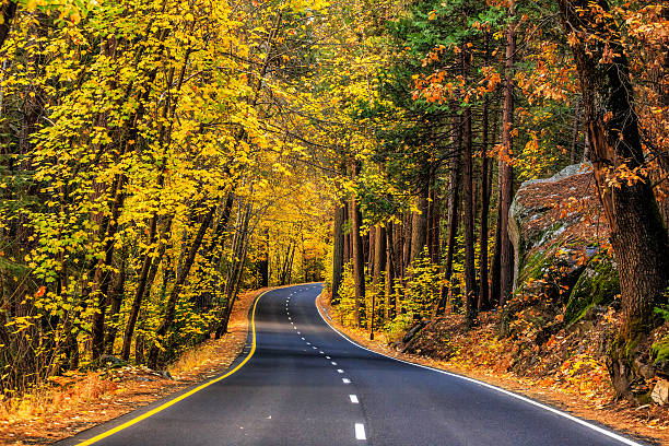 istock road in Yosemite national park 469235534